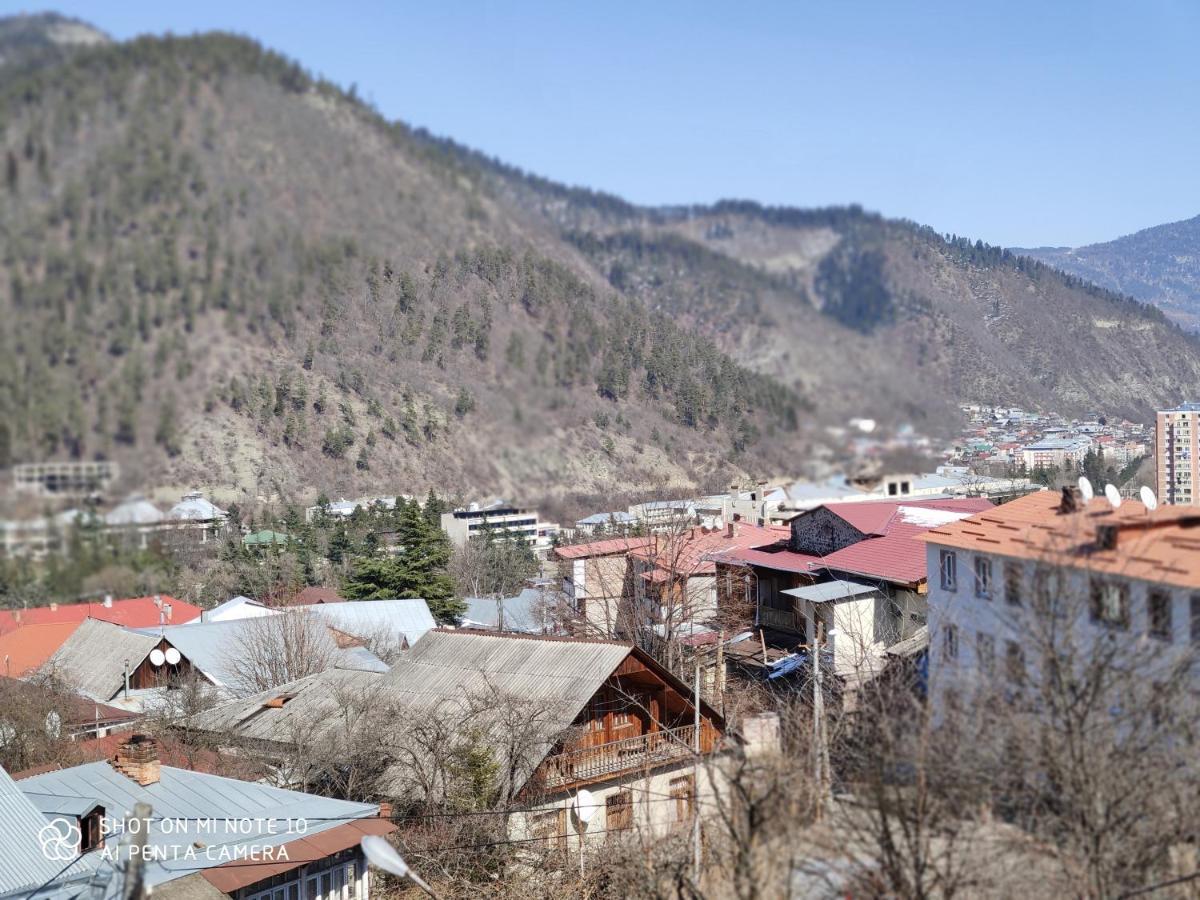 Hotel Borjomi Sichi Esterno foto