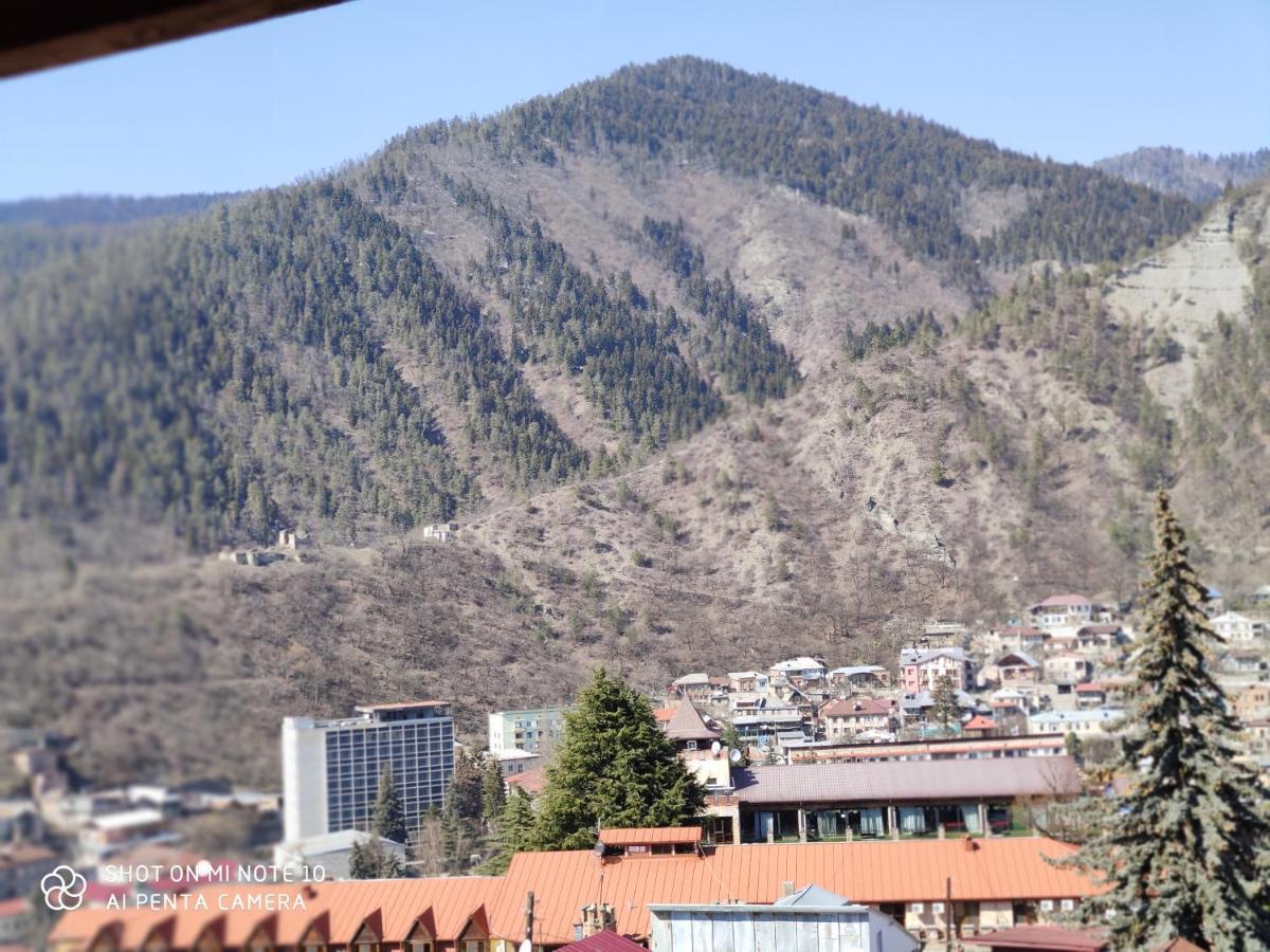 Hotel Borjomi Sichi Esterno foto